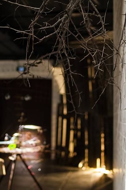 Eerie Atmosphere with Bare Branches and Shadowy Interior, Perfect for Halloween Concepts.