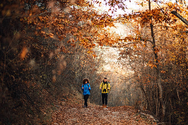 istock Hikers walking in forest during autumn 2232488625