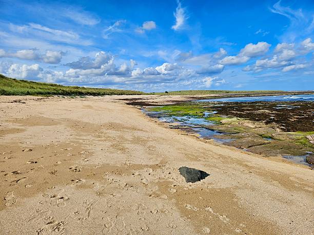 istock Northumberland beach view blue skies and white clouds 2232490015