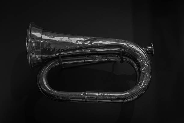 French horn player hands. Hornist playing brass orchestral music instrument closeup
