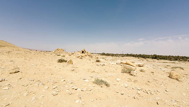 istock Arid Desert Landscape with Distant Palm Trees 2232496305