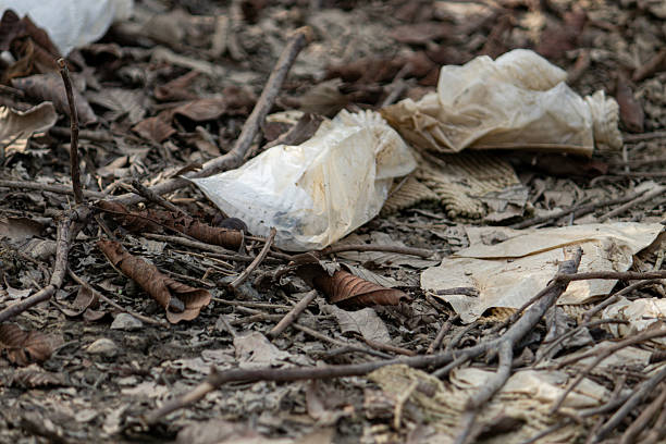 A powerful editorial image showing plastic bags and other trash littered among dead leaves and twigs on the forest floor. This photo starkly illustrates the problem of environmental pollution, single-use plastic waste, and the human impact on nature.