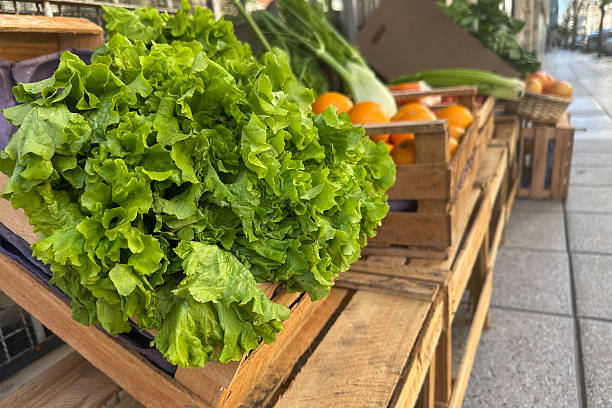 istock greengrocer with fresh organic fruit and vegetables 2232506793