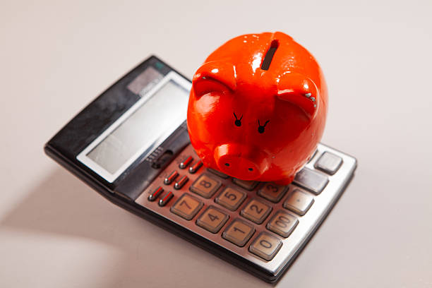 calculator with red pig on the white background
