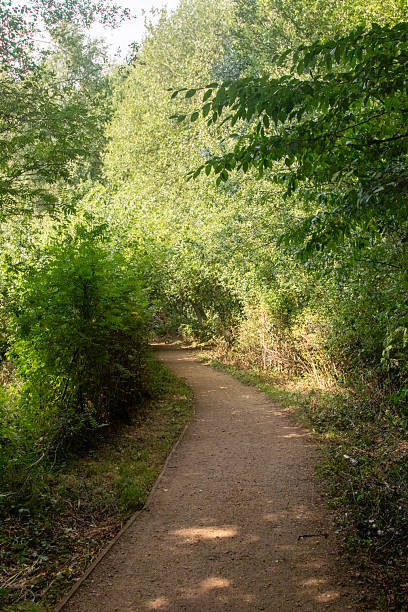 istock Fleet Pond Local Nature Reserve 2232508865