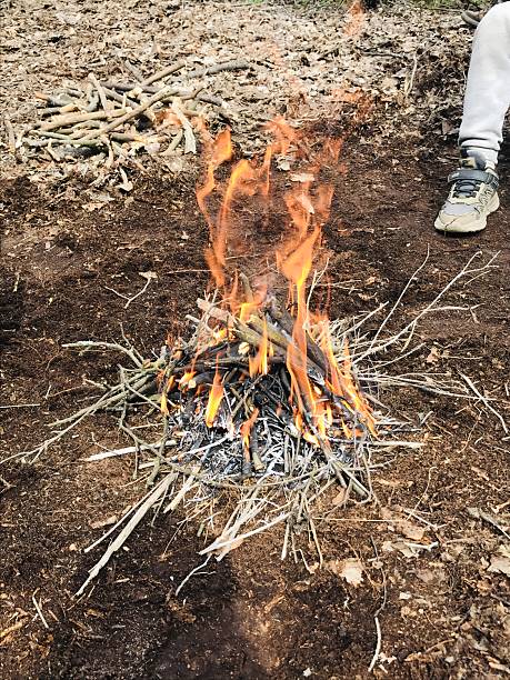 istock Creating a campfire using twigs and kindling in a woodland setting during the afternoon 2232513688