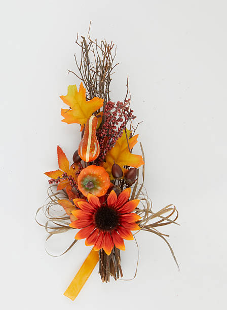istock Sunflowers and dry branches isolated nature background with clipping path 2232514837
