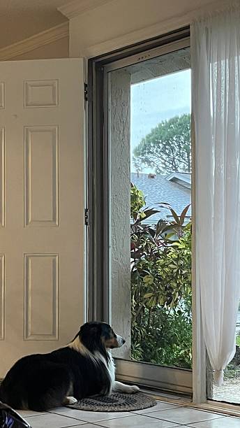 istock Waiting Out the Rain 2232515220