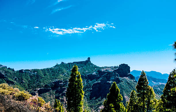 Views of Roque Nublo, mountains and pine forests.