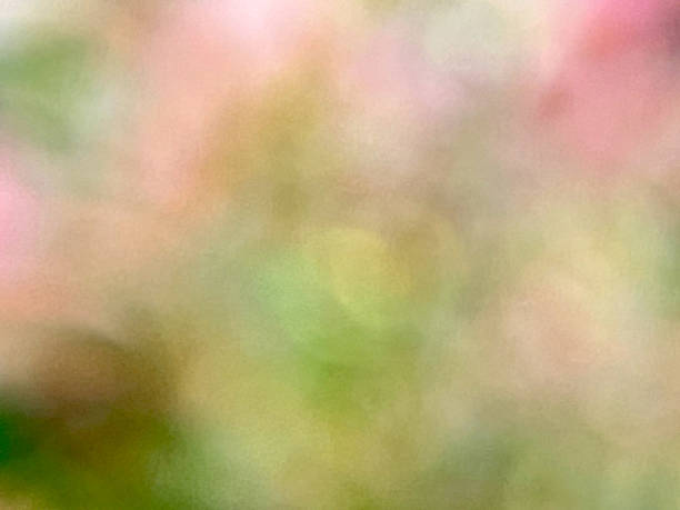 istock Close-up, natural light blur background 2232516296