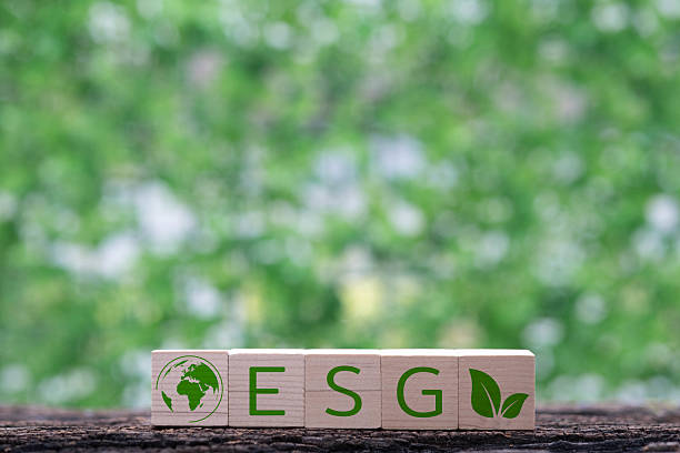 istock Wooden blocks display 