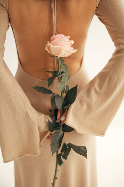 Rose in a woman's hands. Flowers for the holiday