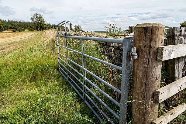 istock Metal Gate Into Hay Field With Hay Bales. 2232522778