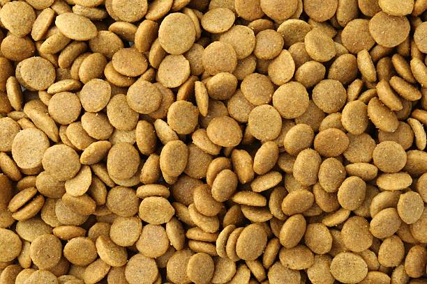 istock Pet food granules as background, top view 2232523020