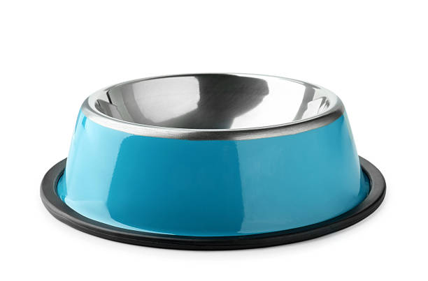 istock Empty feeding bowl for pet food isolated on white 2232523067