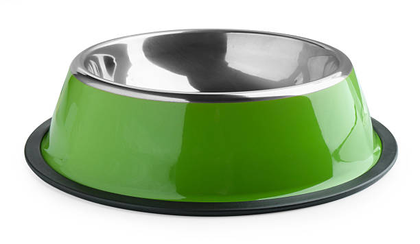 istock Empty feeding bowl for pet food isolated on white 2232523097