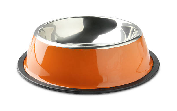 istock Empty feeding bowl for pet food isolated on white 2232523135