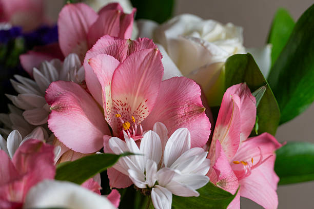 istock Pink Alstroemeria, White Roses and Daisies Bouquet 2232525112
