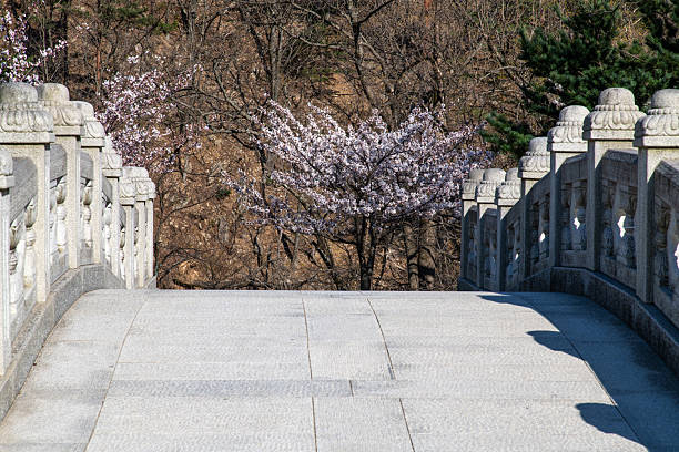 landscaping architecture