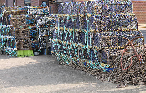 istock Lobster and Crab Pots. 2232529732