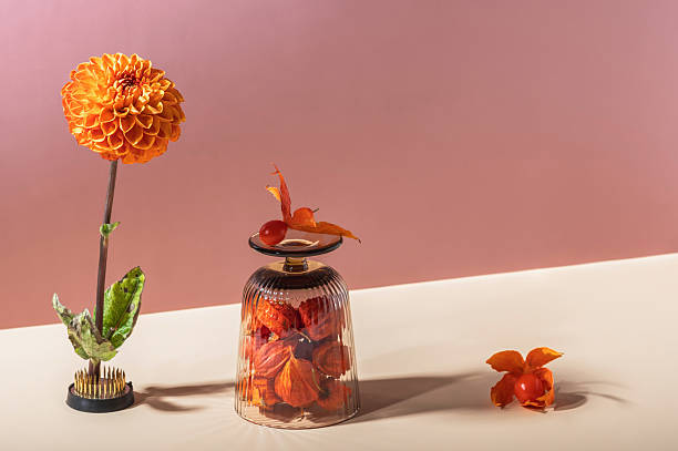 Autumn abstract still life with physalis and orange dahlia. Space for text.