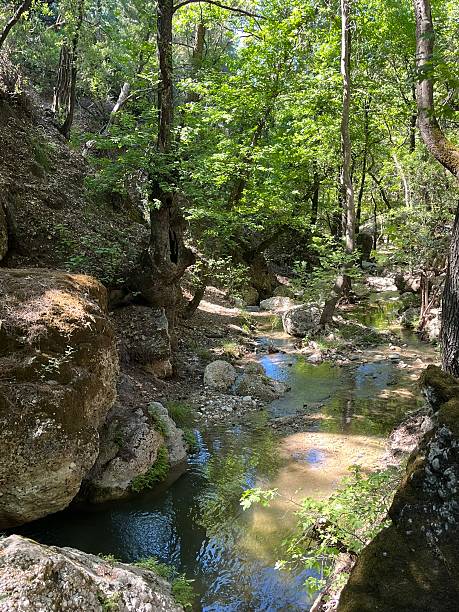 istock Greece - Rhodes Island - Butterfly Valley 2232536797