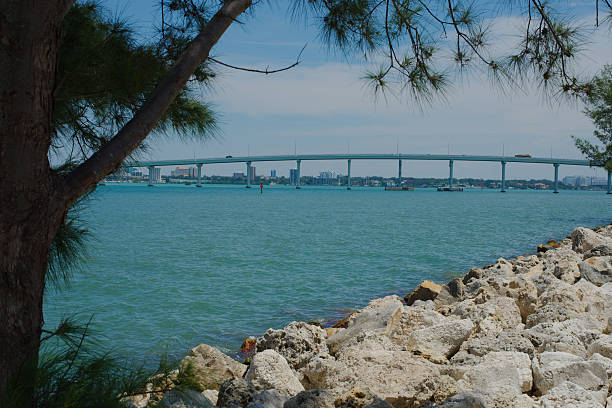Scenic beachfront view framed by tall palm trees with turquoise waters and bridge in the distance, evoking a relaxing tropical atmosphere.