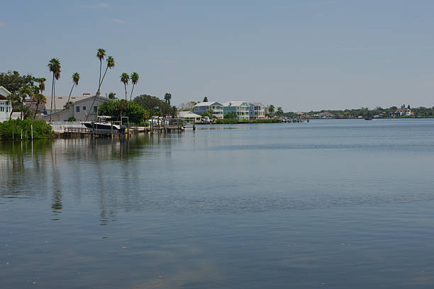 Idyllic view of a serene waterfront neighborhood with elegant homes surrounded by palm trees, hosting calm waters reflecting the beautiful scenery of a peaceful coastal lifestyle.