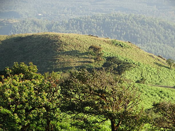istock ON THE TOP OF HILL 2232554814