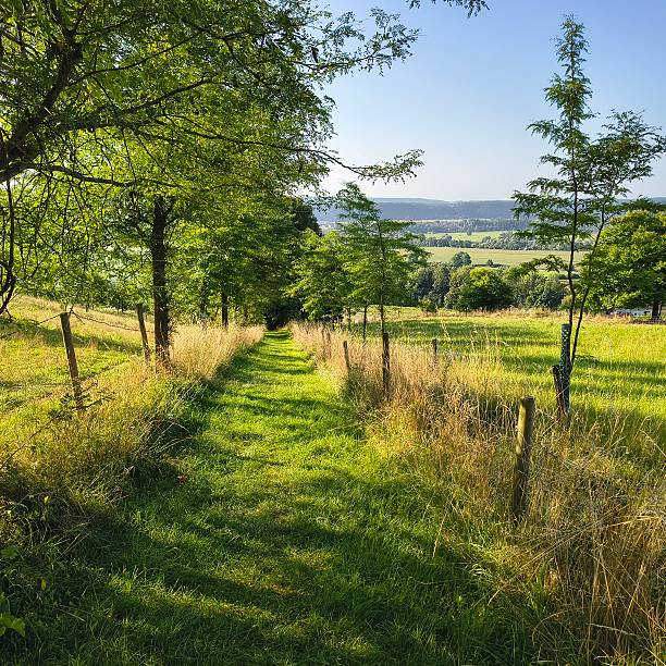 istock Scenic Landscapes with Forests and Rivers 2232554855