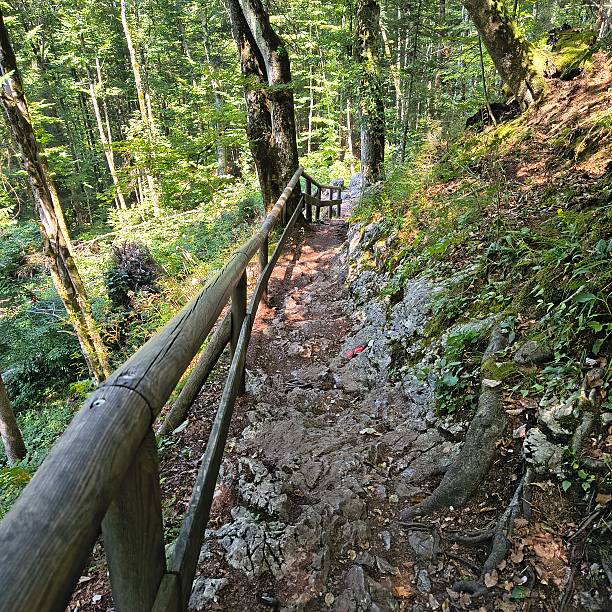 istock Scenic Landscapes with Forests 2232554917