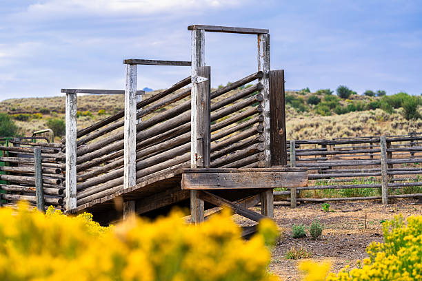Old west corral situated among rabbitbrush and sagebrush.