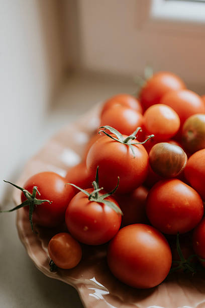 istock Homegrown tomatoes in window light ripening 2232561180