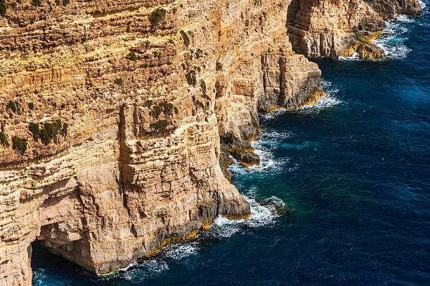 Panoramic view of steep limestone cliffs dropping into the blue Mediterranean Sea, with coastal vegetation and agave plants growing on the rocky edge.