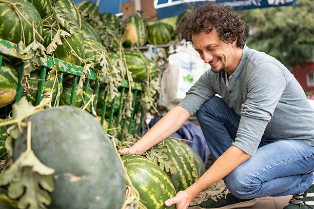 Man Choosing Watermelons at Outdoor Market Displaying Fresh Produce