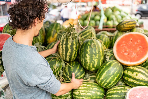 Man Selecting Fresh Watermelons at an Outdoor Fruit Market Display