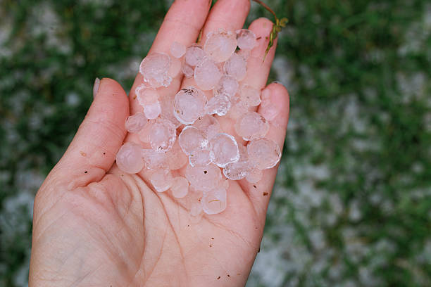 Close-up of hailstones in a hand after heavy storm, symbol of crop damage and extreme weather.