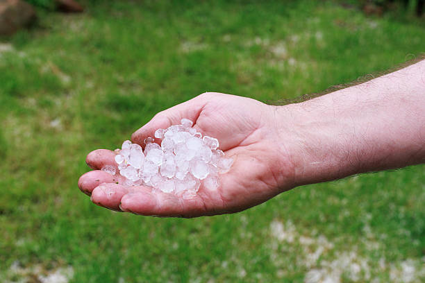 Hand holding hailstones collected after summer hailstorm, symbol of severe weather and nature power.