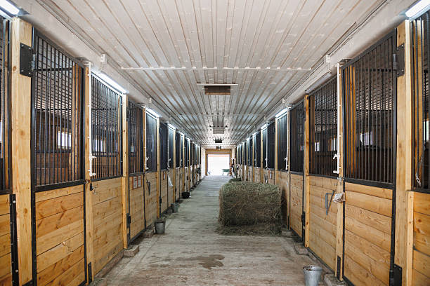 istock A spacious horse stable with comfortable, efficient wooden stalls 2232575320