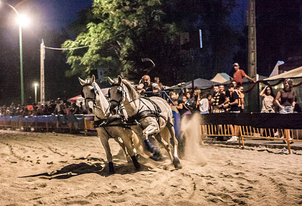 Two brown Andalusian horses pulling a carriage on a sand track in Jerez de la Frontera, Andalusia, Spain.