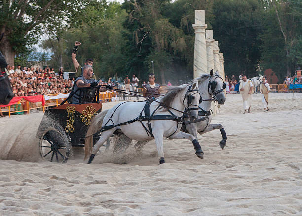 Pair of two brown Spanish horses pulling a carriage in a marathon competition