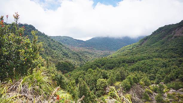 istock Natural rocky slope of Papandayan Mountain, showcasing volcanic landscape in West Java. 2232584324