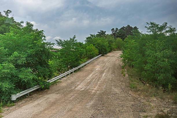 Dirt Road up a Hill with Bushes along the side