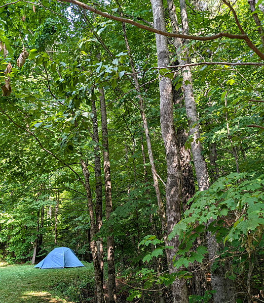 Backpacker tent set up in mountain clearing with rain coming