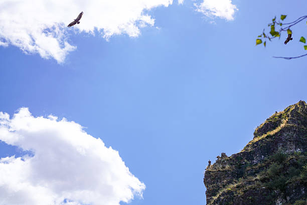 Sky with clouds and a Vulture flying.