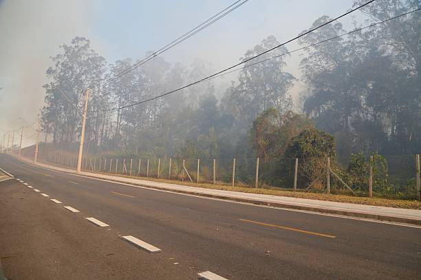 istock Fire in a field of dry vegetation, causing intense smoke and environmental risk. Concept of deforestation, climate change, environmental impact and urban or rural fires. 2232590792