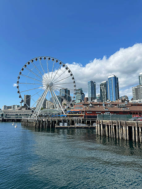 istock Seattle Skyline from the Puget Sound 2232602588