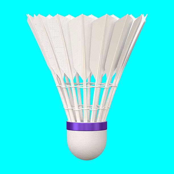 traditional badminton shuttlecock with feathers