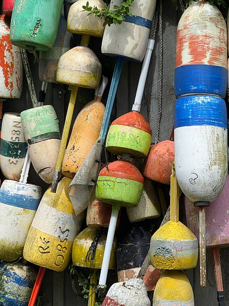 istock Colorful lobster buoys 2232604536