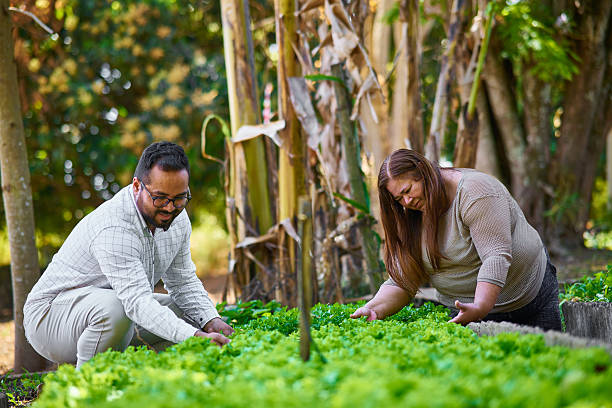 Photo of a young Latin man and his mother taking care of some veggies in a garden, together.